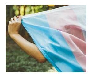 Transgender Experience: Place, Ethnicity, and Visibility (Routledge Research in Cultural and Media Studies)
