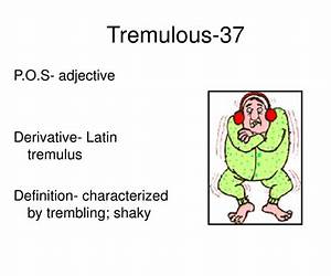 Tremulus Tremulus