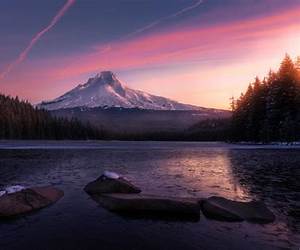 Trillium #3