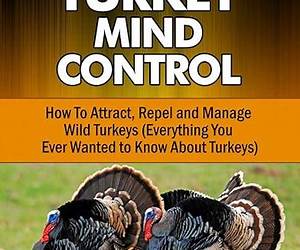 Turkey Mind Control