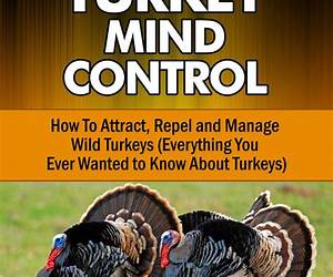 Turkey Mind Control Turkey Mind Control