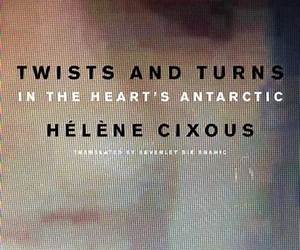 Twists and Turns in the Heart