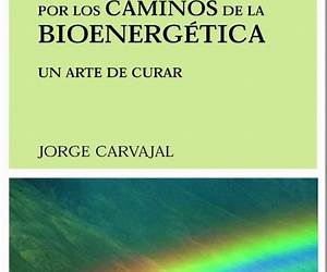 Un arte de curar. Aventura por los caminos de la Bioenergética