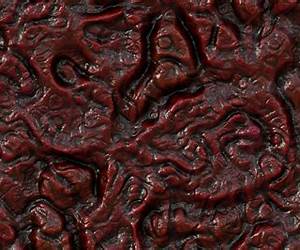 Undead Flesh Undead Flesh