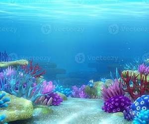Under the Ocean