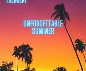 Unforgettable Summer (Wild Crush, #1)