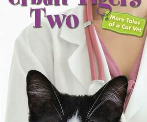 Urban Tigers Two: More Tales of a Cat Vet
