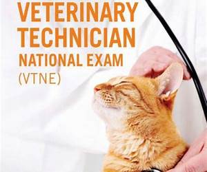Veterinary Technician Exam