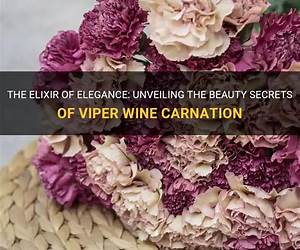 Viper Wine Viper Wine
