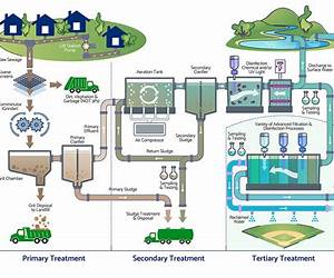 Wastewater Treatment Process Modeling, Second Edition (MOP31) (WEF Manual of Practice)