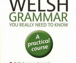 Welsh Grammar You Really Need to Know Welsh Grammar You Really Need to Know