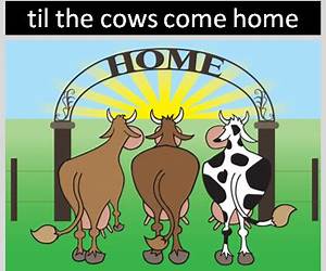 When the Cows Come Home When the Cows Come Home