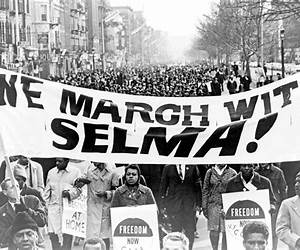 Who Marched for Civil Rights? (Primary Source Detectives)