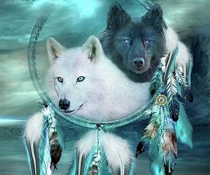 Wolf Dream (Wolf, #2)