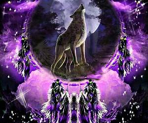 Wolf Dream (Wolf, #2)