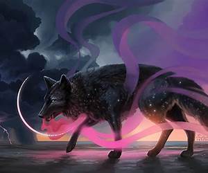 Wolf Magic (Avador, #5)