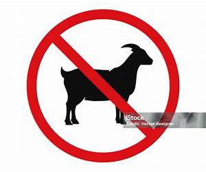 there is no goat